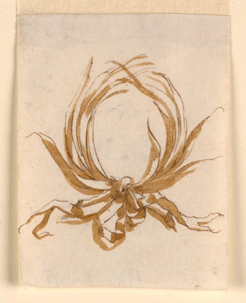 Cornice circolare di rami fissati con nastro - Smithsonian Institution, Museum
